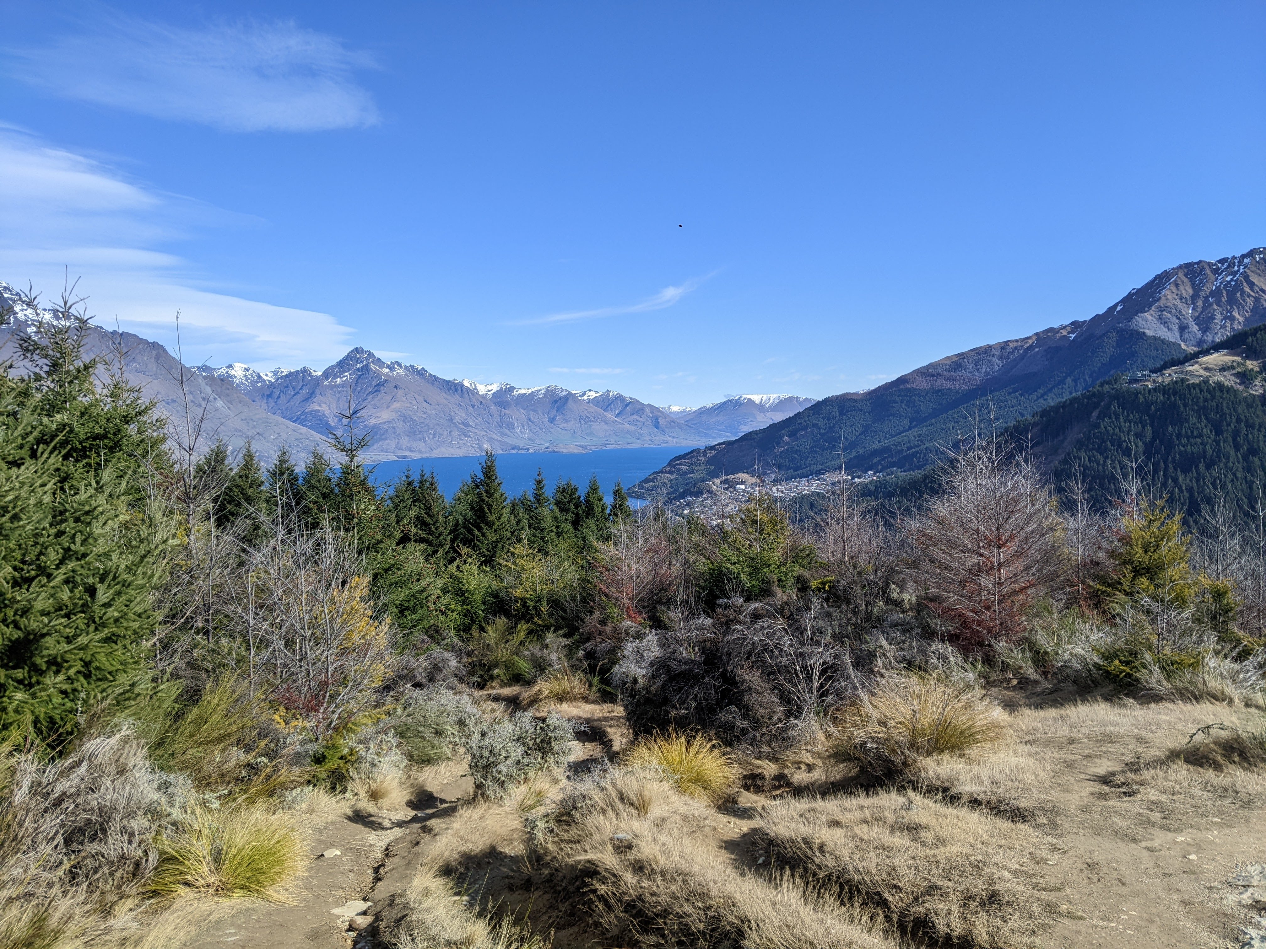 View from Queenstown hill
